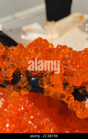 Eier mit einem Handschuher mischen. Roter Kaviar in einem Plastikbehälter. Lachskaviar, Diätkost. Stockfoto