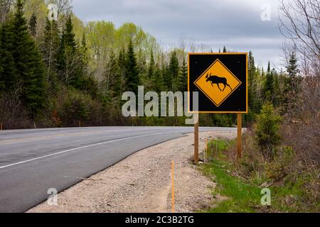 Warnung vor Moose Road Schild Stockfoto