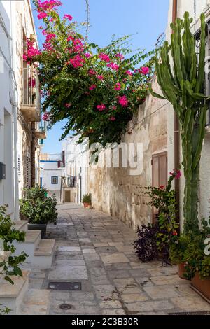 Polignano a Mare, Italien - 17. September 2019: Das charmante und romantische Altstadt von Polignano a Mare und Apulien, Süditalien Stockfoto