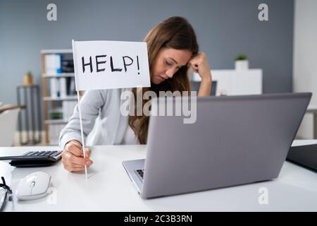 Erhöhte Ansicht einer Geschäftsfrau Übersicht Hilfe am Arbeitsplatz im Büro Stockfoto