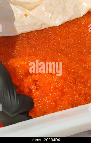 Eier mit einem Handschuher mischen. Roter Kaviar in einem Plastikbehälter. Lachskaviar, Diätkost. Stockfoto