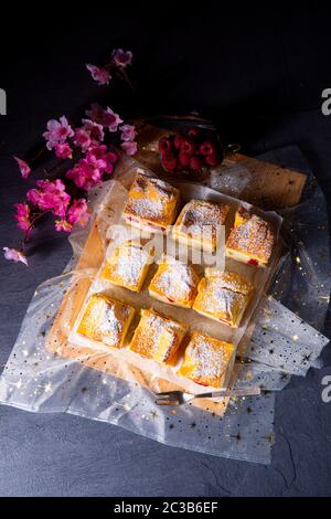 Karpatka - ein köstlicher polnischer Puddingkuchen Stockfoto
