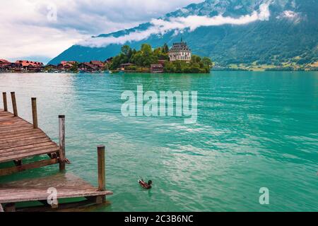 Blick auf Dorf und der ehemaligen Burg auf dem Brienzersee in Schweizer Dorf Iseltwald, Schweiz. Ente in den Vordergrund Stockfoto