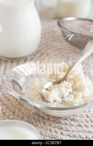 Kefir Körner und fermentierte Getränke kefir Nahaufnahme Stockfoto