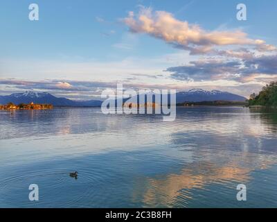 Lichtstimmung am Chiemsee mit Blick auf die Kampenwand und das schmale Iland von Fraueninsel und Krautinsel und vor einer Ente Stockfoto