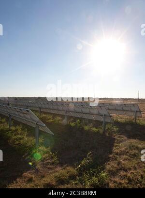 Manor Texas, USA, 2012: Webberville Solar Farm, das größte aktive Solarprojekt aller öffentlichen Energieversorger des Landes. Es verfügt über mehr als 127.000 Module und kann mehr als 61 Millionen kWh Strom erzeugen, Texas - 2012. ©MKC / Daemmrich Photos Stockfoto