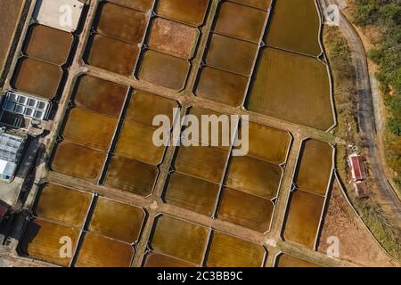 Käfige für Stör Fischzucht in natürlichen Fluss oder Teich, Luftbild. Stockfoto