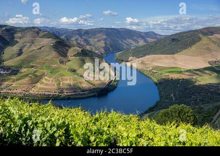 Douro Tal. Weinberge Landschaft der Portwein, in der Nähe von Pinhao Dorf, Portugal. Blick von Casal de Loivos Stockfoto