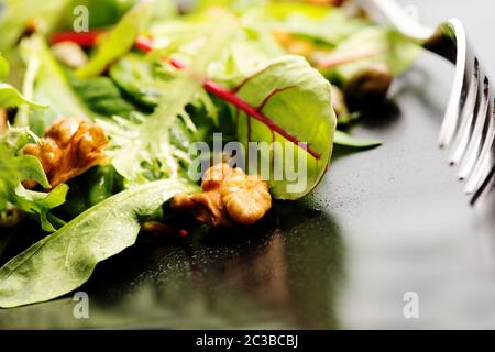 Salat mit Rucola, Frisee, Radicchio, Kopfsalat und Nüssen auf Teller mischen Stockfoto