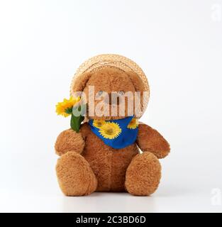 Süße kleine braune Teddybären hält einen Kunststoff gelb Sonnenblumenkerne und ist in einem Strohhut bekleidet, Spielzeug sitzt auf einem weißen Hintergrund Stockfoto