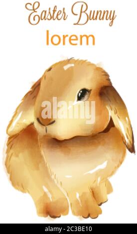 Happy oster Aquarell flauschigen Hase mit Ohren nach unten. Ferientiere. Vektor Stock Vektor
