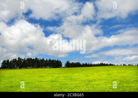 azoren grüne Felder auf s miguel Insel Stockfoto