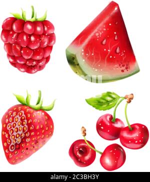 Set von Sommerbeeren Früchte mit Wassermelone, Kirsche und Erdbeere. Vektor Stock Vektor