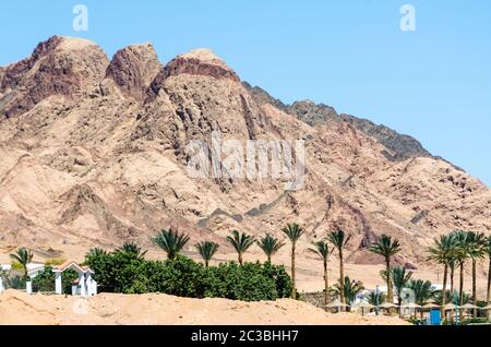 Häuser mit Bäumen und Palmen auf dem Hintergrund der hohen Berge in Ägypten Dahab Süd Sinai Stockfoto