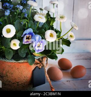 Frühlingsblumen in einem Topf mit naturfarbenen ostereiern und Bokeh vor einem weißen Holz-Vintage-Hintergrund und Platz für Text. Nahaufnahme. Stockfoto