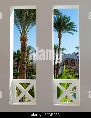 Fensterblick auf einen tropischen Garten mit hohen Palmen in Ägypten Stockfoto