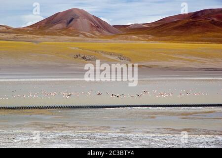 Laguna Grande in der Provinz Catamarca an der Puna de Atacama, Argentinien. Puna de Atacama ist ein arides Hochplateau in den Anden von Nord-Chile und Stockfoto