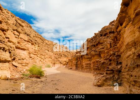 Farbige Schlucht mit grünen Pflanzen in Ägypten Dahab Süd Sinai Stockfoto