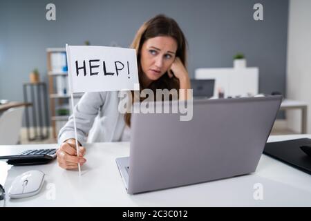 Erhöhte Ansicht einer Geschäftsfrau Übersicht Hilfe am Arbeitsplatz im Büro Stockfoto