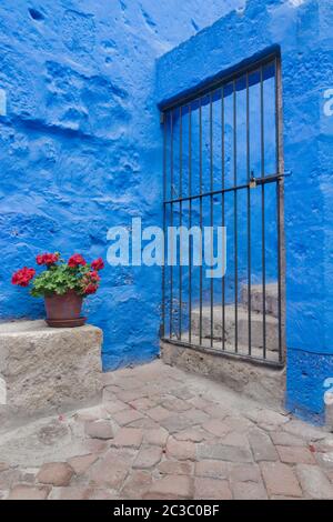 Malerisch und farbenfrohe Ecke mit Blumentopf und schönen blauen Hintergrund im Kloster Santa Catalina, Arequipa, Peru Stockfoto