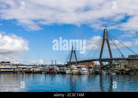 Der Blick auf Anzac Bridge und Blackwattle Bay Sydney Australien. Eine 8-spurige Kabelbrücke über die Johnstons Bay zwischen Pyrmont und Glebe Island. Stockfoto