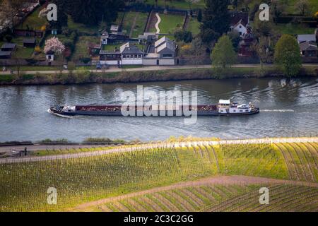 Frachtschiff an der Mosel, Deutschland mit dem Weindorf Wehlen im Hintergrund Stockfoto