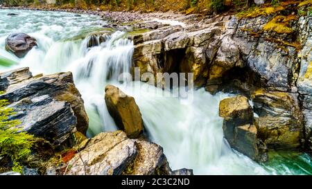 Das Wasser des Sunwapta River stürzt über den Rand der Sunwapta Falls, bevor es sich in den Ayjabasca River im Jasper National Park in Alberta, Kanada, einfügt Stockfoto