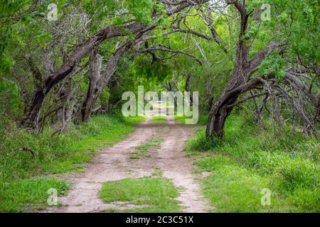 Ein gut gepflegtes Freizeitgelände im Estero Llano Grande State Park, Texas Stockfoto