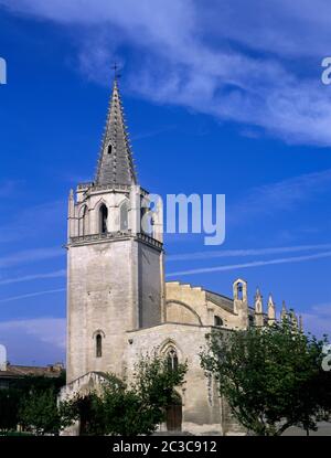 Tarascon Provence Frankreich Kirche von St Marthe 10. - 12. Jahrhundert Stockfoto