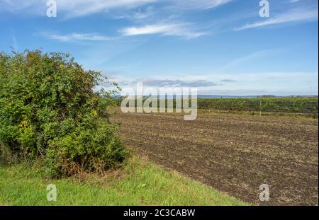 Idyllische Landschaft rund um Illmitz in einem Gebiet namens Burgenland in Österreich Stockfoto