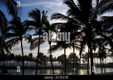 Palmen, die bei Sonnenuntergang in Acapulco, Mexiko, Nordamerika, an einem Pool umsäumt werden Stockfoto