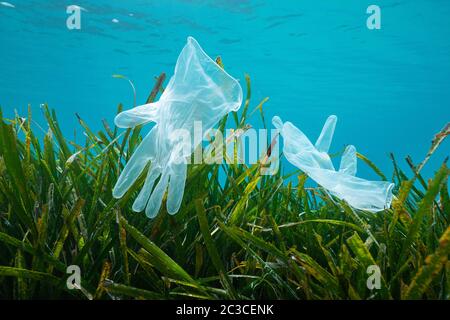 Plastikmüll im Meer, Einweghandschuhe mit Seegras Posidonia oceanica Unterwasser, Mittelmeer, Frankreich Stockfoto