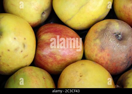 Viele Äpfel stehen nebeneinander in einer Box zum Verkauf Stockfoto