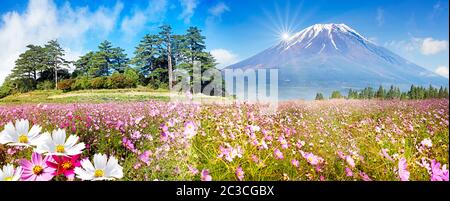 Der schöne Blick auf die Berge mit schönem Himmel und Blumen auf dem Boden Stockfoto