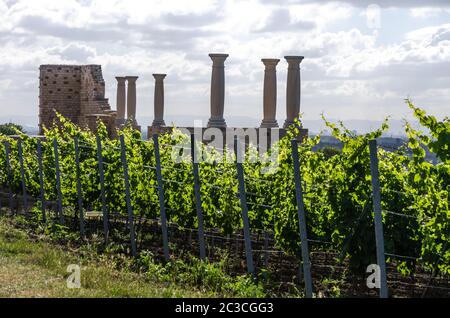 Villa Rustica Weilberg, Altes römisches Weingut bei Bad Duerkheim in Rheinland-Pfalz, Deutschland Stockfoto