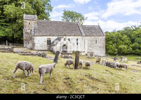 Schafe weiden auf dem Kirchhof der sächsischen Kirche St. Michael in der Cotswold Dorf Duntisbourne Rouse, Gloucestershire UK