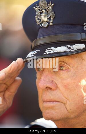 Austin, Texas, USA, März 2013: Vietnam-Kriegsveteran trägt einen U.S. Armeekleidung Hut salutiert während einer bahnbrechenden Zeremonie auf dem Gelände des Texas Capitol für ein Denkmal zu Ehren der Texaner, die in Vietnam dienten. ©Marjorie Kamys Cotera/Daemmrich Photography Stockfoto