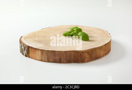 Frische Basilikumblätter auf natürlicher, lebender Kante, runder Holzplatte Stockfoto