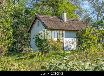Kleines Haus in sonniger Garten Landschaft in der Nähe von Podersdorf am See im Burgenland in Österreich Stockfoto
