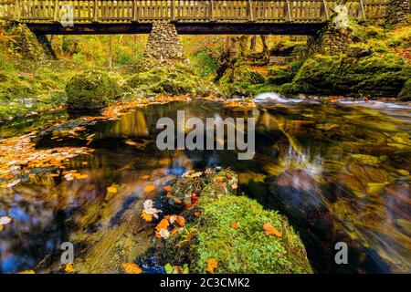 Kaskaden unter Holzbrücke am Bergbach, mit moosigen Felsen im Tollymore Forest Park im Herbst, Newcastle, County Down, Nordirland Stockfoto