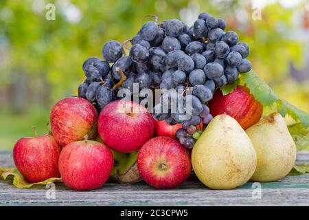 Früchte in Holztisch im Freien im Garten Stockfoto