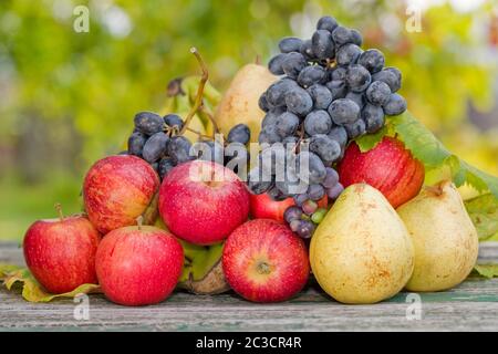 Früchte in Holztisch im Freien im Garten Stockfoto