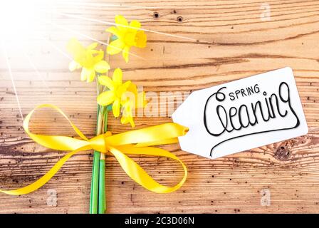 Etikett Mit Englischer Kalligraphie Frühling Reinigung. Sunny Yellow Spring Narcissus Blume Auf Rustikalen Holzhintergrund. Stockfoto