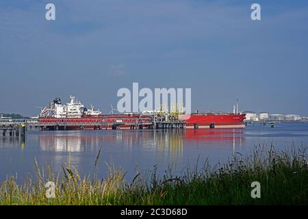Hafen von rotterdam, niederlande - 2020.06.17 We: Rohöltanker sti Orchard (imo# 9690834) (109999 dwt) Entladen am vopak Terminal 7 Petroleumhave Stockfoto