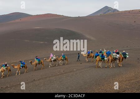 Touristen reiten auf Dromedaren durch die Lavalandschaft des Timanfaya National Park, einem spanischen Nationalpark im Südwesten der Insel Stockfoto