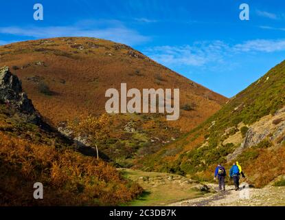 Wanderer im Carding Mill Valley ein beliebtes Wanderziel in der Shropshire Hills Gegend von außergewöhnlicher natürlicher Schönheit England Großbritannien. Stockfoto