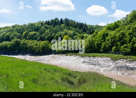 Leigh Woods und Paradise Bottom vom gegenüberliegenden Ufer des Tidal River Avon bei Sea Mills in der Nähe von Bristol UK Stockfoto