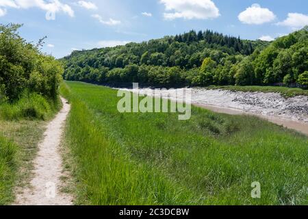 Leigh Woods und Paradise Bottom vom gegenüberliegenden Ufer des Tidal River Avon bei Sea Mills in der Nähe von Bristol UK Stockfoto