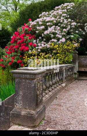 Alte Steinbalustrade und Blumen in einem Garten, Biddulph Grange Garden, England, Europa Stockfoto