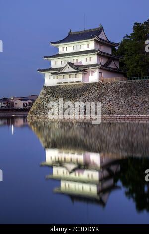 Nagoya Castle nordwestlichen Turm - Inui in Japan bei Nacht. Stockfoto